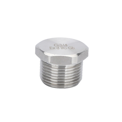 EX304 stainless steel solid external hexagon/explosion-proof plug/bulk plug plug DN15DN20/4 points/6 points M63*1.5