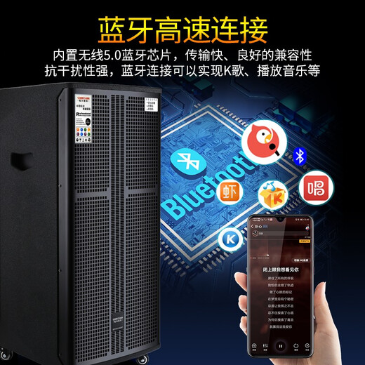 Songchuan International SG30-10 outdoor high-power performance karaoke singing KTV speaker set mobile audio singing microphone SG11-12 (12-inch remote speaker + outdoor karaoke machine)