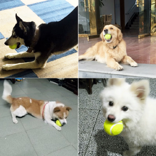 Dog Toy Ball Golden Retriever Teddy Bouncy Ball Teeth Resistant Tennis Pet Puppy Labrador Puppy Training Pet Tennis Ball 3 Pack