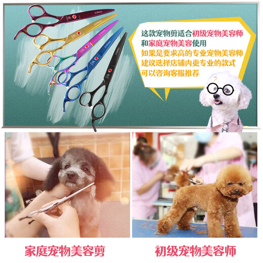 Xuanniao Pet Scissors Home Dog Barber Curved Scissors Trimming Shearing Scissors Pet Grooming Scissors Tool Set Seven Color Curved Scissors