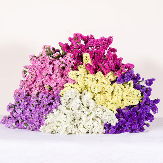AIMAN Yunnan Forget-Me-Not Real Flowers Dried Flower Bouquet Home Furnishings Small Fresh Living Room Gypsophila Flower Arrangement Theory Jin Jin is equal to 0.5 kg. Sell Yellow Crystal Flowers One Bouquet Dried Branches