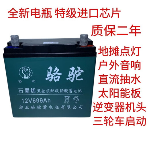 山头林村12V20安60安大容量铅酸电池UPS电源户外摆摊音响12伏骆驼蓄电瓶 全新12V699A电池+充电器+背包