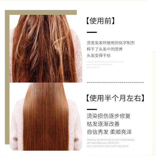 欧莱雅pro发膜沙龙专属吸金瞬顺修护发膜干枯毛躁保湿滋养芳香护发小样 吸金发膜250ml瞬顺【2瓶装】
