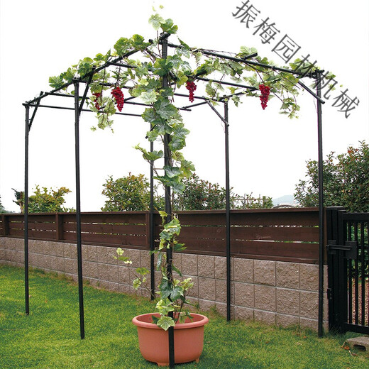 Grape rack stainless steel vine flower rack outdoor kiwi garden bracket gourd climbing rack support plant vine rack fixing SN9928 large length 1.8 meters * width 1.2 meters * height 2.2 meters (total height) Extra large
