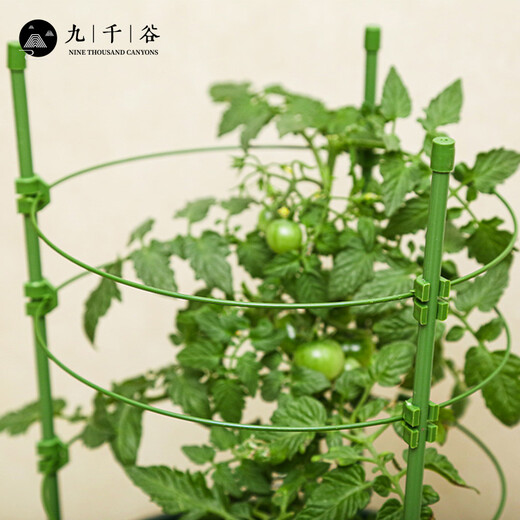 
Nine Thousand Valley Plant Climbing Brackets Steel Pipe Flower Pots Vines Flower Frame Rose Grape Fixed Raspberry Grape Fixed Rack 75cm4641