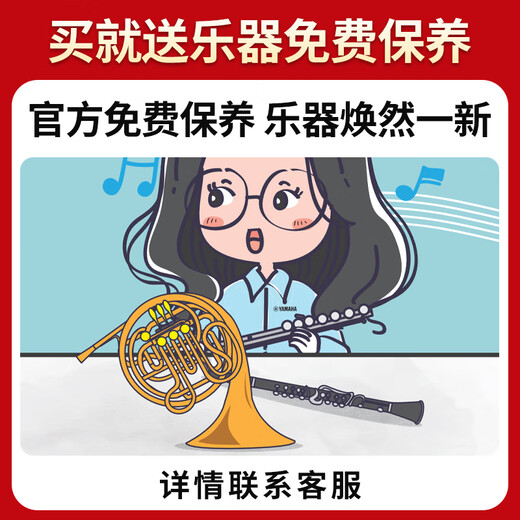 雅马哈（YAMAHA）萨克斯YAS26 S1 280中音降E调YTS26次中音降B调专业考级成人入门 YAS-26中音降E【无#F键】