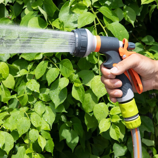 NUEVA FLOR FLEWERE DE AGUA DE AGUA DE AGUA DE AGUA DE AGUA DE AGUA DE AGUA MÁGICO JARDINA MÁGICO JARDÍN GARDÍA AGUA AGUA AGUA VEDERA SN3883 AGUA AGUA Pistola