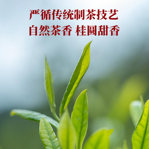 Bama Tea Industry Black Tea Wuyi Mountain Zhengshan Xiaozhong Level 240g Double Can Gift Box Tea Gift
