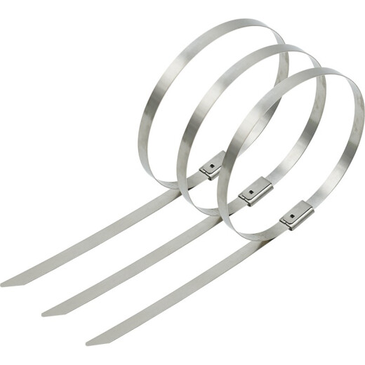 Autocolqueo 304 Cable de acero inoxidable Cable de un cable Cable de corrosión al aire libre Hebilla de metal resistente a alta temperatura y baja temperatura 7.9*450 mm de 20 mm OT3294