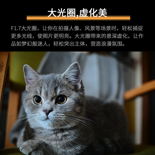 Cheka 25mmF1.7 Portable Retro Manual Fixed Focus Lens for X/RF-S/E/Z/EF-M/M43 Mount Nikon Z Mount Silver