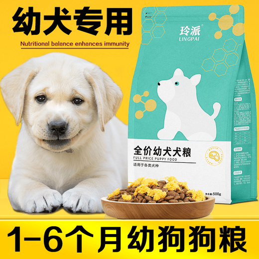 General purpose Labrador puppy dog food for 0-6 months, small, medium and large dogs, Golden Retriever Teddy Bichon Nutritional Double Combo, special beef flavor pure food for 1-6 months, 1500g (3Jin Jin is equal to 0.5kg)