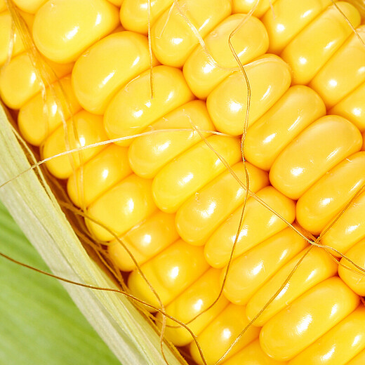 Sweet corn 750g