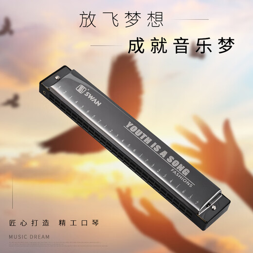 Swan 24 trous C-Tune Monophonic Harmonica Enfants étudiants masculins et femmes débutants dans le hall d'entrée en classe Performance d'enseignement