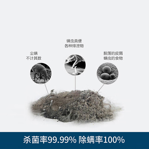 German technology wireless mite removal instrument artifact for bed mites household handheld UV machine Shiyu (20% selection) white luxury model