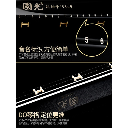 国光德国进口音簧国光口琴复音c调宽音域口琴初学者入门学生演奏级 28孔复音C调宽音域典雅黑