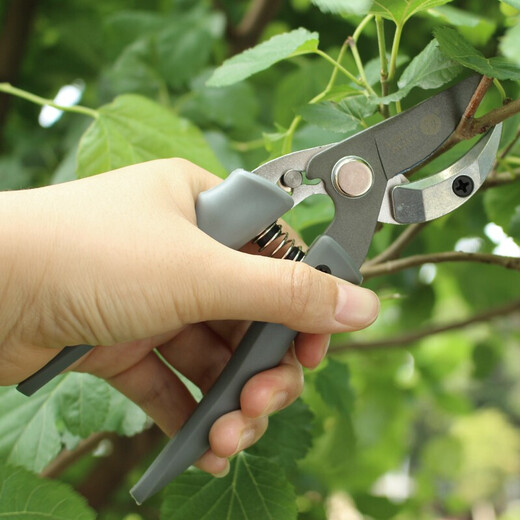 Japanese Fukuoka tools garden pruners, fruit tree scissors, pruning shears, branch shears, gardening tools, powerful pruning shears 200mm FO-4308A