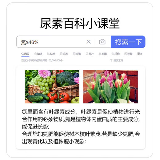 Basemanwei Urea Nitrogen Fertilizer Flowers, Vegetables and Fruit Trees Potted Planting Cauliflower Household Potted General Fertilizer Chemical Fertilizer Compound Fertilizer Urea (Nitrogen Fertilizer) 10Jin Jin is equal to 0.5 kg