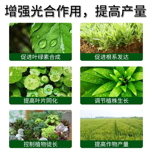 Chloropyramide paclobutrazol peanuts, soybeans, cotton, ginger, sweet potato, enlargement hormone, dwarfing and exuberance control agent Chloropyramide + paclobutrazol *20 sets