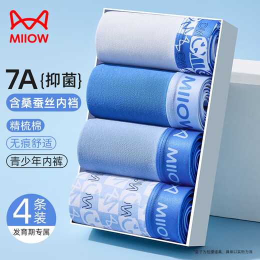 Catman children's underwear for boys, middle and high school students in the developmental period, spring and summer boxer briefs for teenagers, large size men's boxer shorts