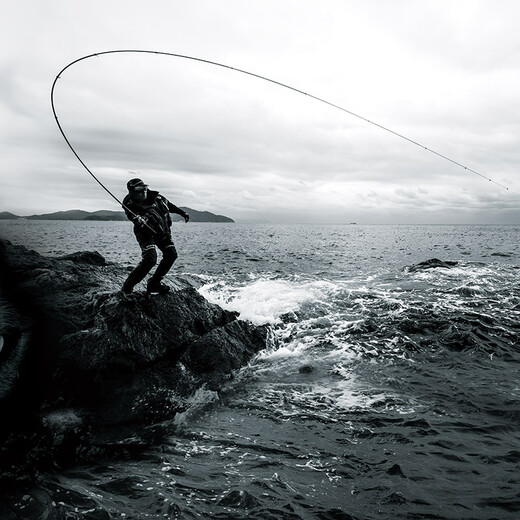 DAIWA CYGNUS CS imported inclined guide ring fishing rod lightweight rocky rod carbon hand and sea dual-purpose rod sea fishing rod fishing rod No. 2-45 (4.5 meters)