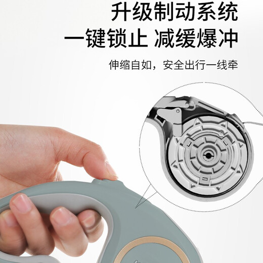 Dipur Dog Rope Automatic Retractable Dog Leash Dog Rope Small and Medium-sized Dog Puppy Walking Rope Dog Chain Dog Leash* Automatic Leash 3M