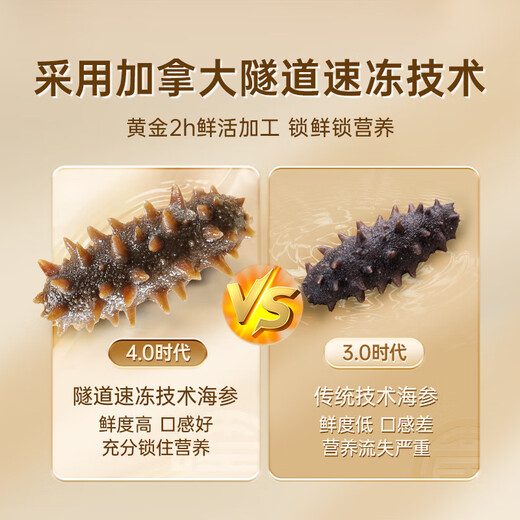 Zhenpintang Dalian ready-to-eat sea cucumbers ready to eat fresh sea cucumbers individually packaged seafood aquatic products gifts for elders Dalian bottom-sown sea cucumbers ready to eat 4 Jin Jin equal to 0.5 kg 56-64 pieces