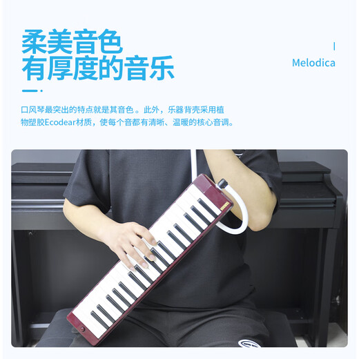 雅马哈（YAMAHA）口风琴P-37D教学娱乐37键儿童学生音乐玩具初学入门启蒙乐器 P-37D