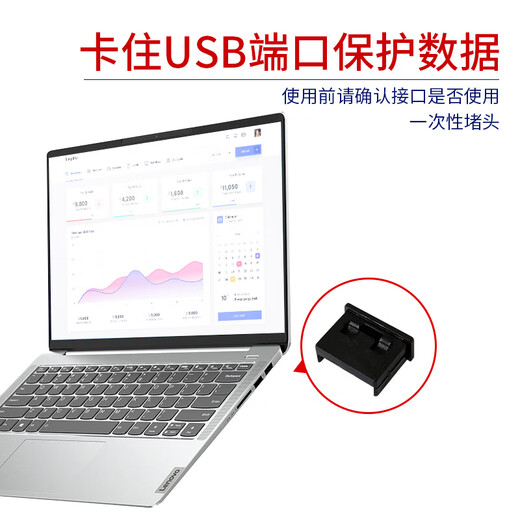 索厉 USB封口塞/USB口安全塞/USB一次性堵头/USB防尘塞/硬塑料材质/内嵌式设计/黑色100装/PBU100