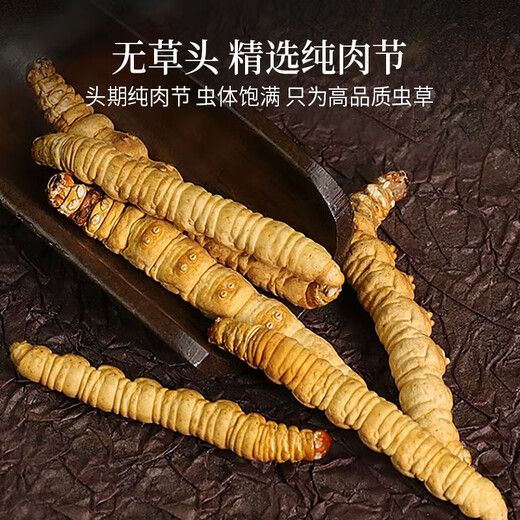 Xueyuantang cordyceps sinensis целый насекомые сломанная трава Аутентичные Cordyceps Выбранные тонические продукты Плато Cordyceps Целые насекомого китайское лекарственное тонизированное продукты около 0,3 г/корень (целая сломанная трава насекомых)