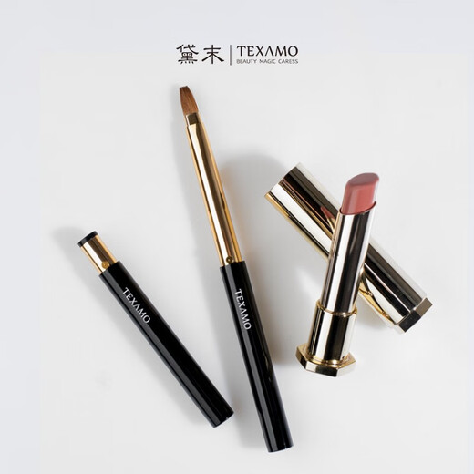 TEXAMO makeup brush can retractable lip brush. Person with concise mink lips makeup brush makeup tool Beauty makeup tools black gold lip brush