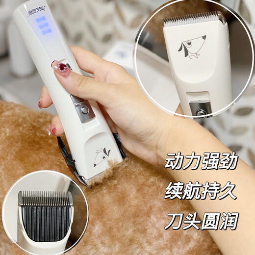Laiwang brothers pet shaver dog shaving and shearing machine powerful non-stuck electric pet clipper PC-902 white