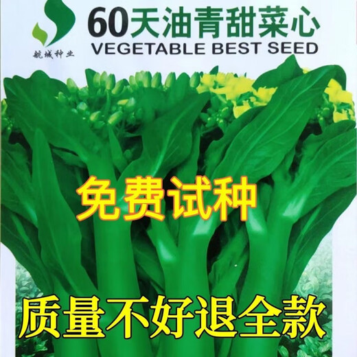 60-day oily green beetroot seeds, early-maturing and high-temperature resistant, spring and autumn four-season super beet moss seeds, farm vegetable seeds, 60-day oily green beetroot seeds, original factory packaging 1 pack (about 1000 pieces)