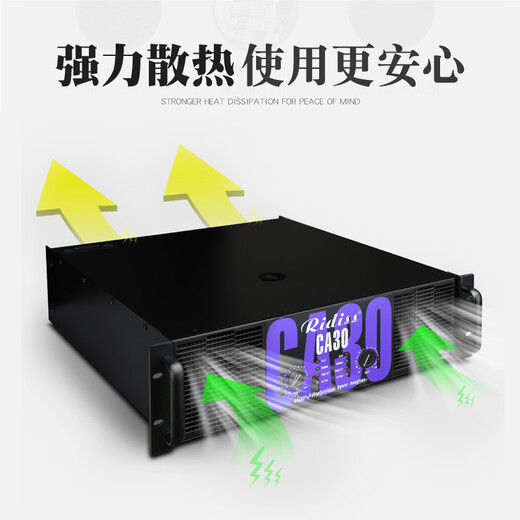Ridiss professional power amplifier CA series dual-channel high-power professional audio stage sound performance engineering home KTV pure power amplifier CA9 800W2