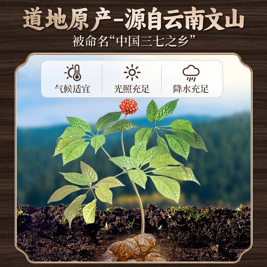 养益君三七原浆450ml（30支）三七鲜榨原浆 三七口服液三七精华礼盒