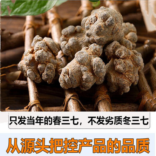 Leixiangzhuang Sanqi, Yunnan Wenshan, 37, keine Schnitte am 37. Kopf ohne Schnitte [25 Köpfe 500 Gramm - keine Schnitte]