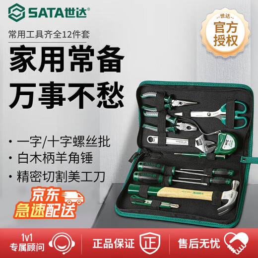 SATA household pliers screwdriver spanner pen repair tool set 12-piece tool set DY06018