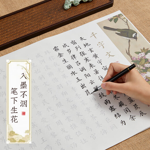 Liupintang 8 models Caixuan small regular script calligraphy copy brush calligraphy beginner set practice copybook adult meditation soft pen Lanting collection preface Tengwang Pavilion preface calligraphy special paper