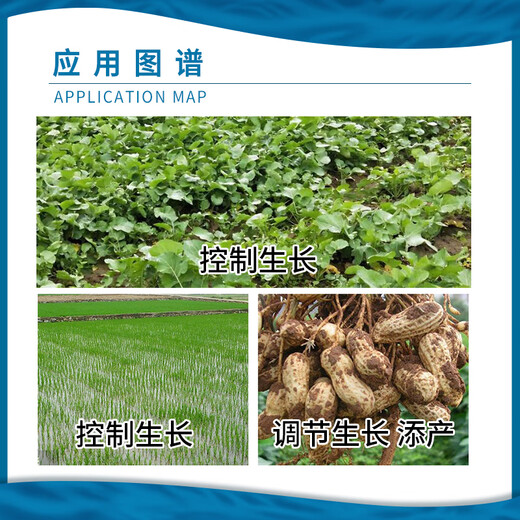 Jianpai Jianpai 15% paclobutrazol rice seedling field rapeseed control growth peanut growth regulator 200g