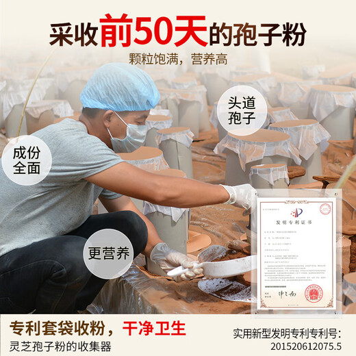 仙芝楼【送礼推荐】四个有机破壁灵芝孢子粉 增强免疫力 营养品 保健品 2盒 120g 【月度量】加强免疫