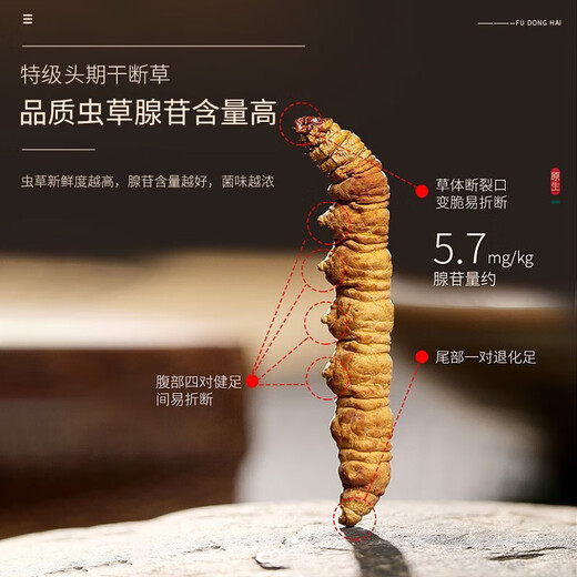 
Fudonghai Cordyceps gift box 4 grams Selected high-quality dried cordyceps Gift tonic for elders [Saltated blue round can] 10 grams of broken grass