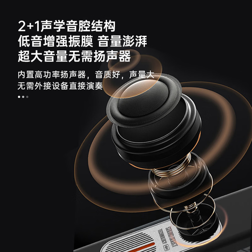 Shengrui Hair Tube SR6000 Instrument de musique débutant pour le saxophone domestique Silk Silk Blow Tube Standard