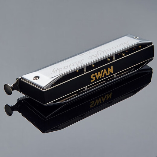 天鹅（SWAN）半音阶口琴高级成人儿童学生初学者入门专业演奏乐器开学季礼物 【月光曲】16孔64音【银色】  半音阶