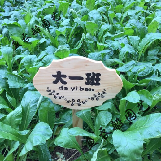 Ground sign custom wooden sign park vegetable garden vegetable field wooden grass planting area sign vertical ground sign love 10