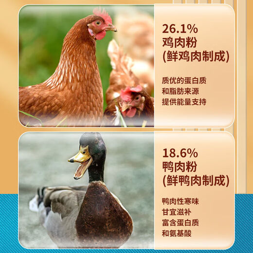 Miaofansi Stray Cat Food 5kg Full-price Nutritious Kittens and Adult Cats Chicken All-stage General Staple Food 10Jin Jin is equal to 0.5kg Pack of Adult Cats and Kittens Full-priced Cat Food Yellow Bag Easy to Absorb 5kg (Single Pack)