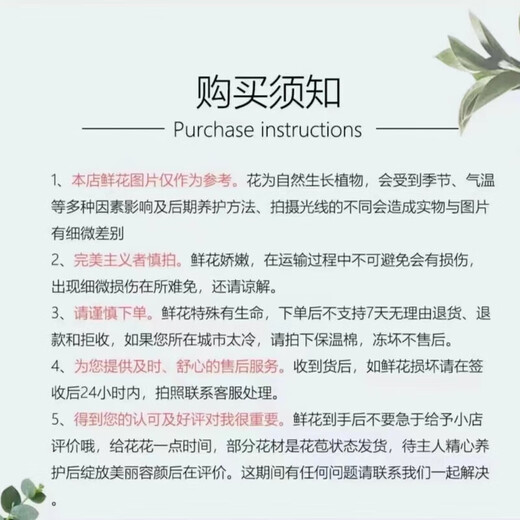 Yunnan flowers wholesale quality rose lily water-grown fresh cut flowers for your girlfriend's birthday gift straight from the source Aisha (Iron Head Princess) - 20 pieces, choose 2 pieces, no shipping fee