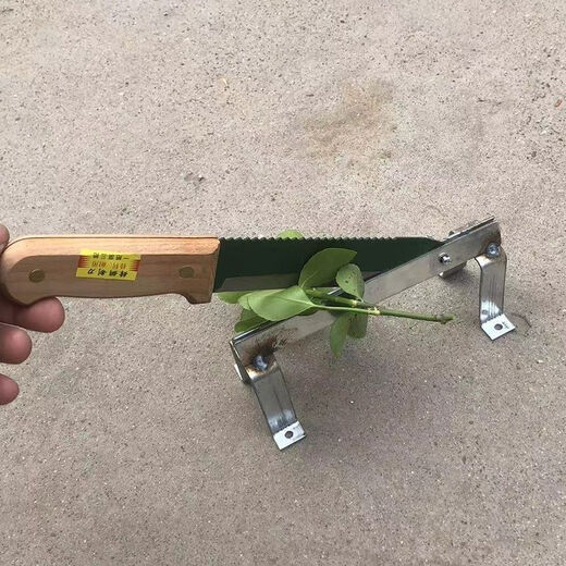 Yue Li's special scissors for cutting garlic. Garlic shearing machine for cutting garlic roots. New knife and garlic head artifact. Household manganese steel thickening tool. Thickening and sharpness - Garlic shearing artifact. 99% labor saving.