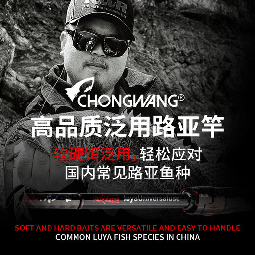虫王路亚竿24款斗/临/者直柄枪柄碳素竿入门泛用远投软木虫竿钓鱼竿 2.04m /S682M 直柄2节