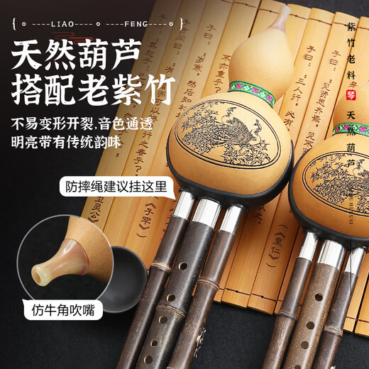 蓼风紫竹葫芦丝中小学生专用专业演奏型小学儿童初学者防摔胡芦丝乐器 防摔独奏【红檀管】降B+盒+教材