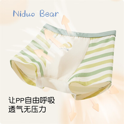 Pantalones de algodón de algodón de algodón para niños Nido Bear