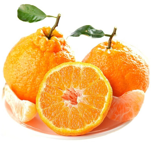 Moisturize the taste and come to Sichuan Wuzhihuo Chou Orange Fresh Seasonal Fruit Gift Box Big Fruit Chou Orange Eight Strange Orange Rake Orange Rake 6Jin[Jin equals 0.5 kg] Gift Box Pack